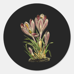 Vintage Crocus Flower Botanical Plants For Men And Classic Round Sticker