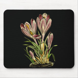 Vintage Crocus Flower Botanical Plants For Men And Mouse Mat