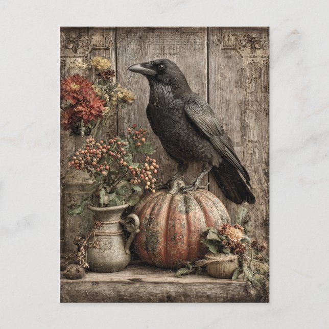 Vintage Crow and Pumpkin Still Life Postcard (Front)