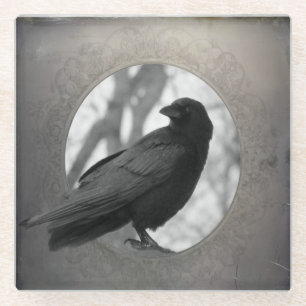 Vintage Crow Outside The Frame Glass Coaster
