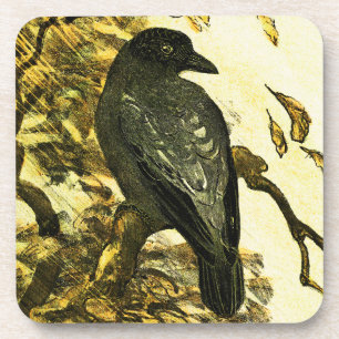 Vintage Crow Perched on a branch Theo van Hoytema Coaster