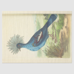 Vintage Crowned Blue Bird Ephemera Decoupage Tissue Paper