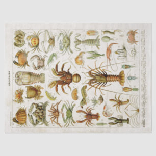 Vintage Crustaceans Marine Life Decoupage Tissue Paper