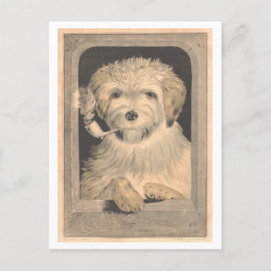 Vintage Currier & Ives Dog Smoking a Pipe Postcard