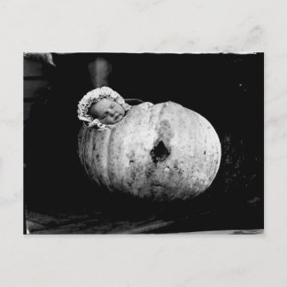 Vintage cute baby in a pumpkin postcard