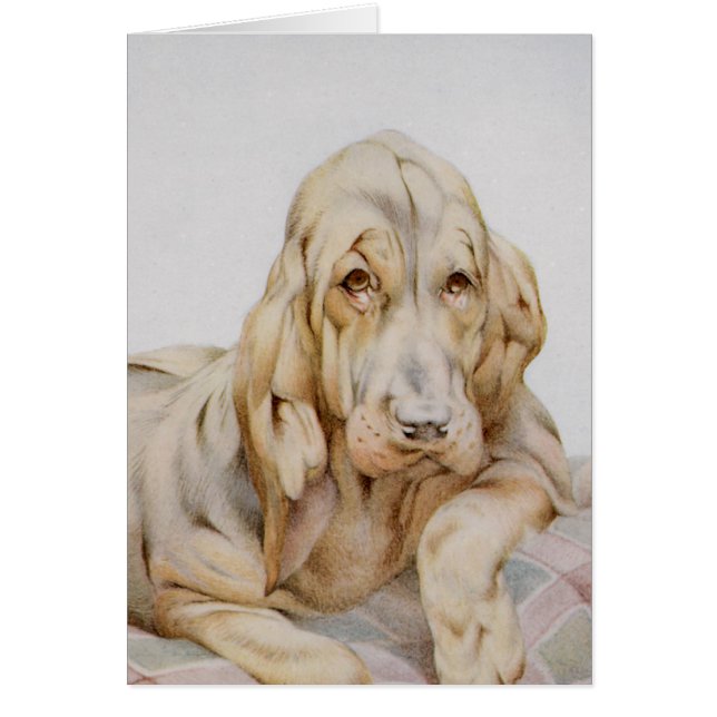 Vintage Cute Bloodhounds, Puppy Dogs by EJ Detmold (Front)