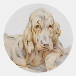 Vintage Cute Bloodhounds, Puppy Dogs by EJ Detmold Classic Round Sticker