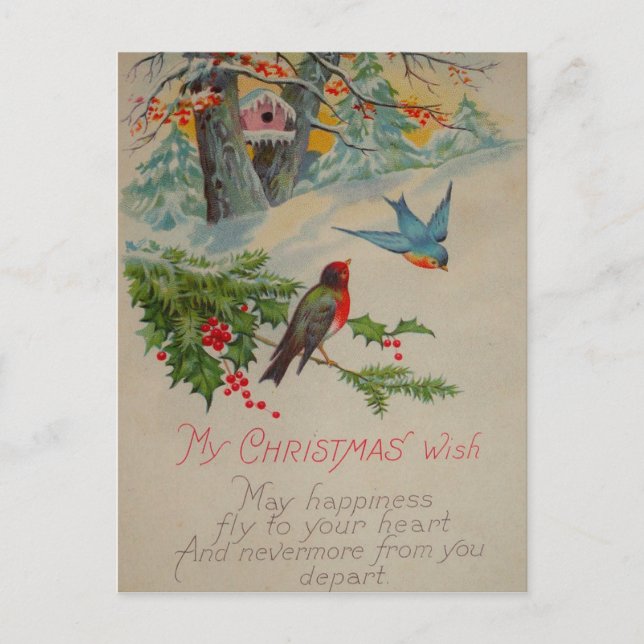 Vintage Cute blue and red winter birds Postcard (Front)