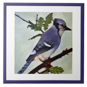 Vintage Cute Blue Colourful Bird and Foliage Tile