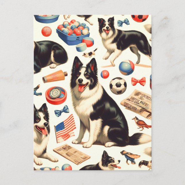 Vintage Cute Border Collie Illustration Postcard (Front)
