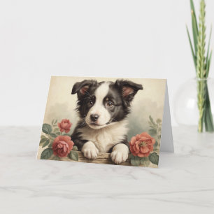 Vintage Cute Border Collie Puppy Dog Portrait Rose Card