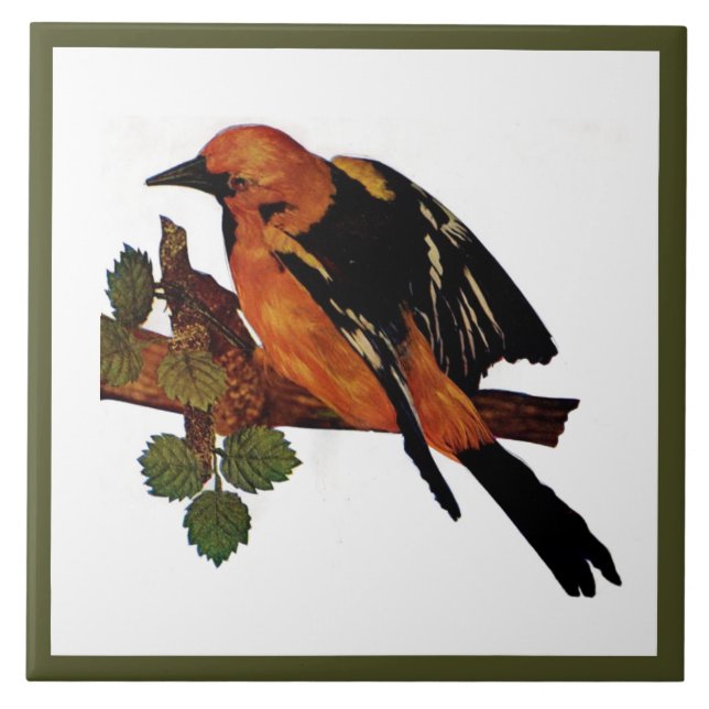 Vintage Cute Bright Colourful Bird and Foliage Tile (Front)
