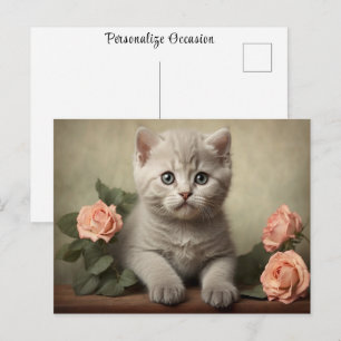 Vintage Cute British Shorthair Kitten Portrait Postcard