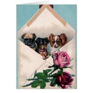 Vintage cute brown black dogs pink roses flowers