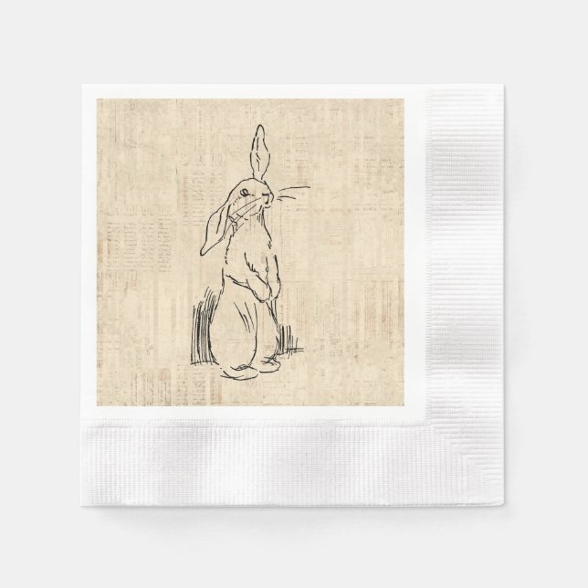 Vintage Cute Bunny Rabbit Art Script Background Napkin (Front)