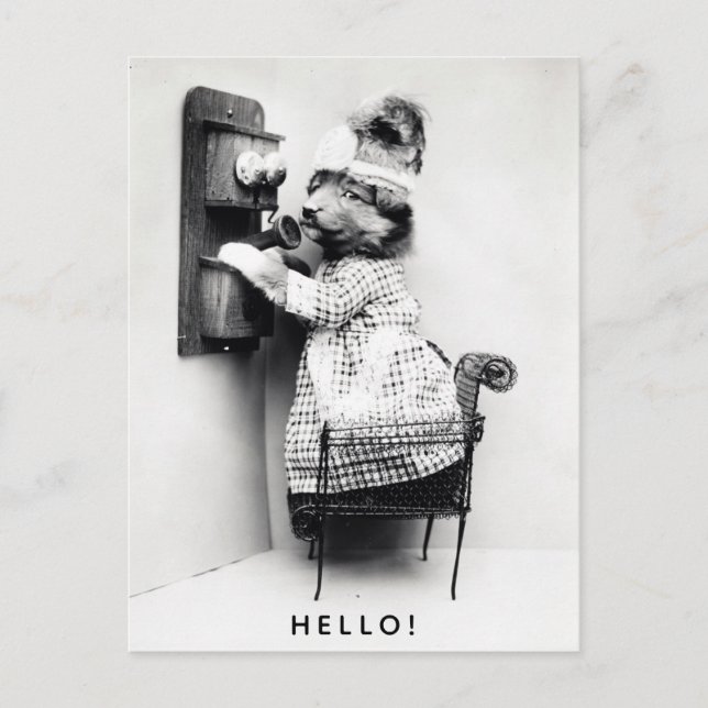 Vintage Cute Dog Hello Greetings Postcard (Front)