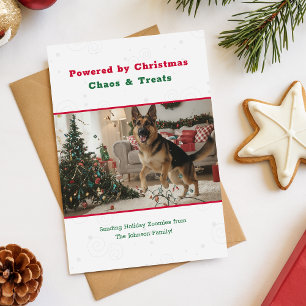 Vintage Cute Funny Dog Pet Photo Christmas Holiday Card