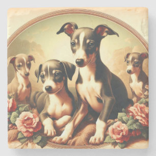 Vintage Cute Italian Greyhound Painting Stone Coaster