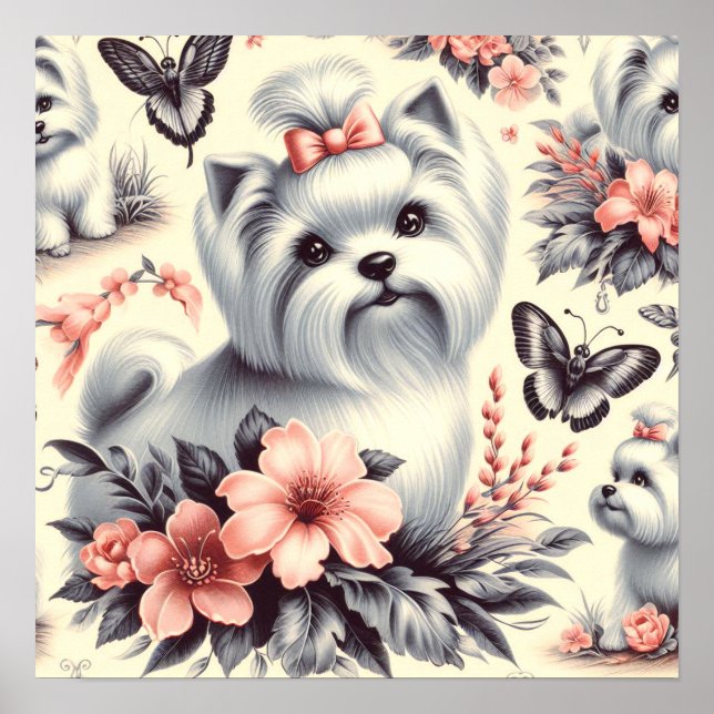 Vintage Cute Maltese Illustration Poster (Front)