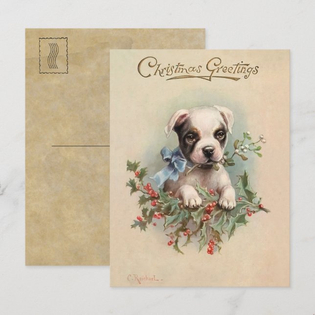 Vintage Cute Puppy Christmas greetings Postcard (Front/Back)