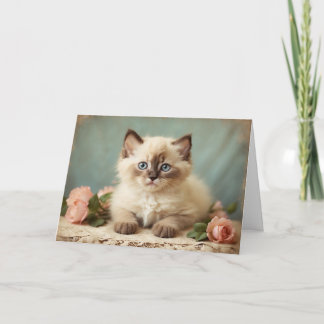 Vintage Cute Ragdoll Kitten Portrait Flowers Sweet Card