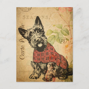 Vintage Cute Scottish Terrier Dog Floral French Postcard