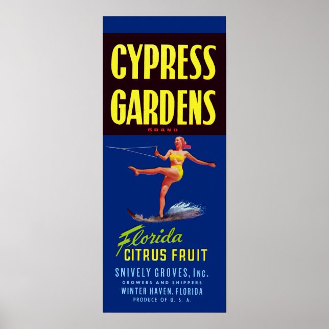 Vintage Cypress Gardens Florida Citrus Fruit Poster (Front)