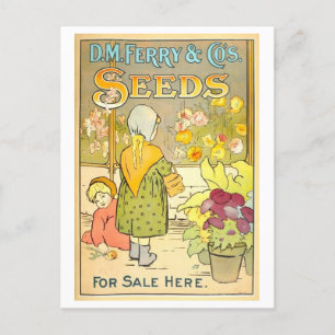 Vintage D. M. Ferry & Co. Seeds Advertisement Postcard