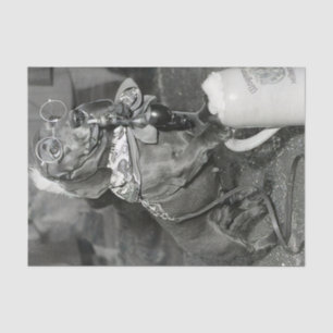 Vintage Dachshund Dog with Pipe & Beer Tissue Paper