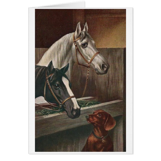Vintage - Dachshund Visits Horses, (Front)