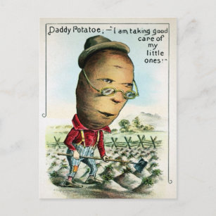 Vintage Daddy Potato Postcard