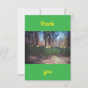 Vintage Daffodil Thank You Card