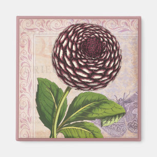 Vintage Dahlia Botanical Collage Damask Background Magnet