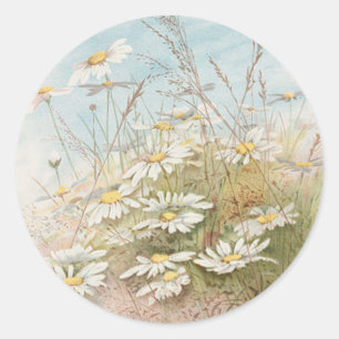 Vintage Daisies In A Field Easter Card Classic Round Sticker