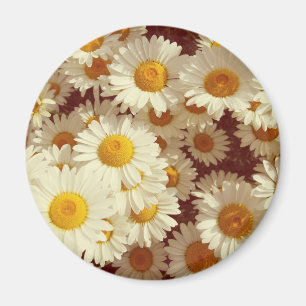 Vintage daisies magnet