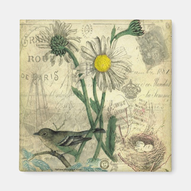 Vintage daisies magnet (Front)