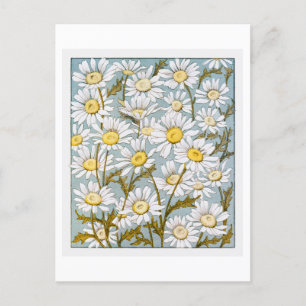 Vintage Daisies on Blue Background Postcard
