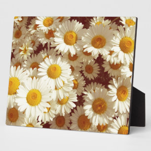 Vintage daisies plaque