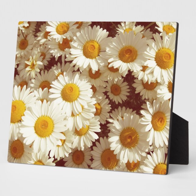 Vintage daisies plaque (Side)
