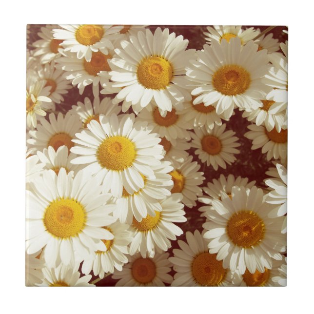 Vintage daisies tile (Front)