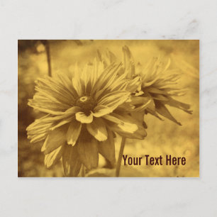 Vintage Daisy Flowers Customisable Postcard