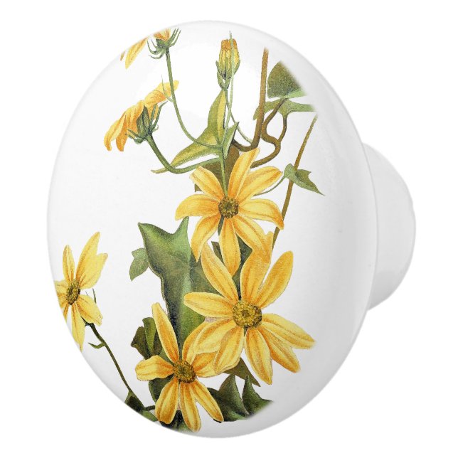 Vintage Daisy Flowers Floral Wildflowers Knob (Right)