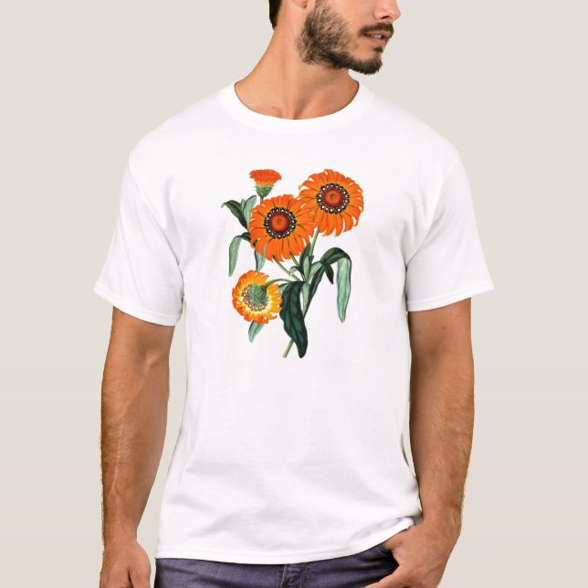 Vintage Daisy - Gazania Splendens T-Shirt (Front)