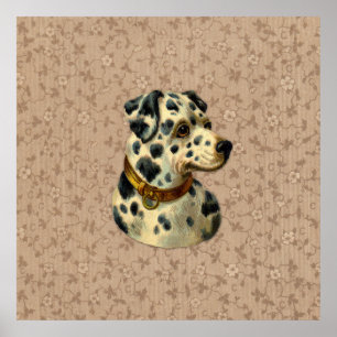 Vintage Dalmation Dog Print
