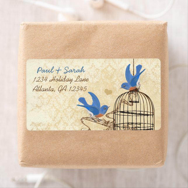 Vintage Damask Lucky Bluebirds Brown Bird Cage (Insitu)