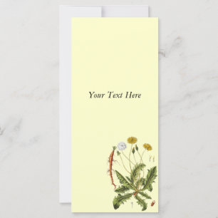 Vintage Dandelion Illustration