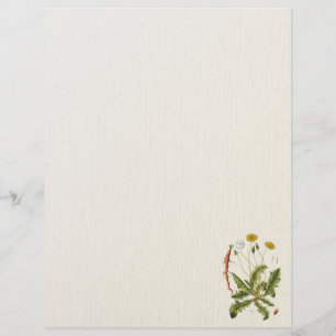 Vintage Dandelion Illustration Flyer