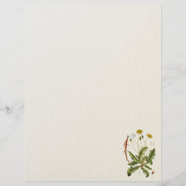 Vintage Dandelion Illustration Flyer (Front)