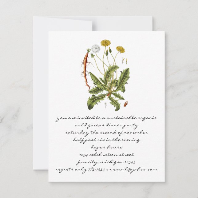 Vintage Dandelion Illustration Invitation (Front)