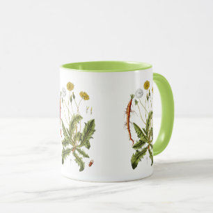 Vintage Dandelion Illustration Mug